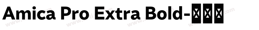 Amica Pro Extra Bold字体转换 Amica Pro Extra Bold字体转换